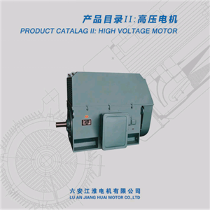 變頻高壓電機 六安江淮電機 配礦山設(shè)備 水泵