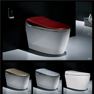 諾貝爾馬桶?智能產(chǎn)品系列  NH-9902