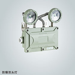 防爆雙頭燈 雙頭燈